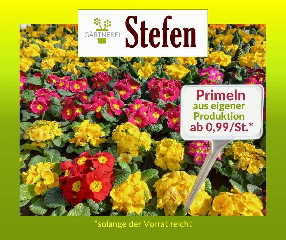 Hofverkauf Gärtnerei Stefen